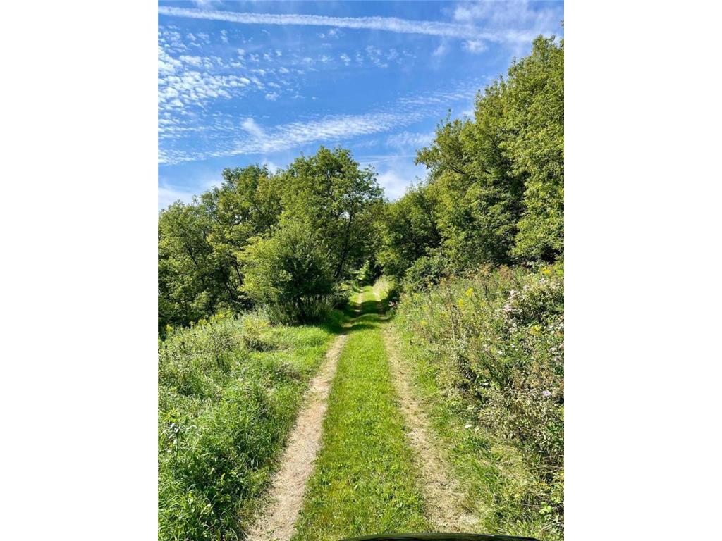 TBD-C County 8 Spring Grove MN 55954 7051024 image49