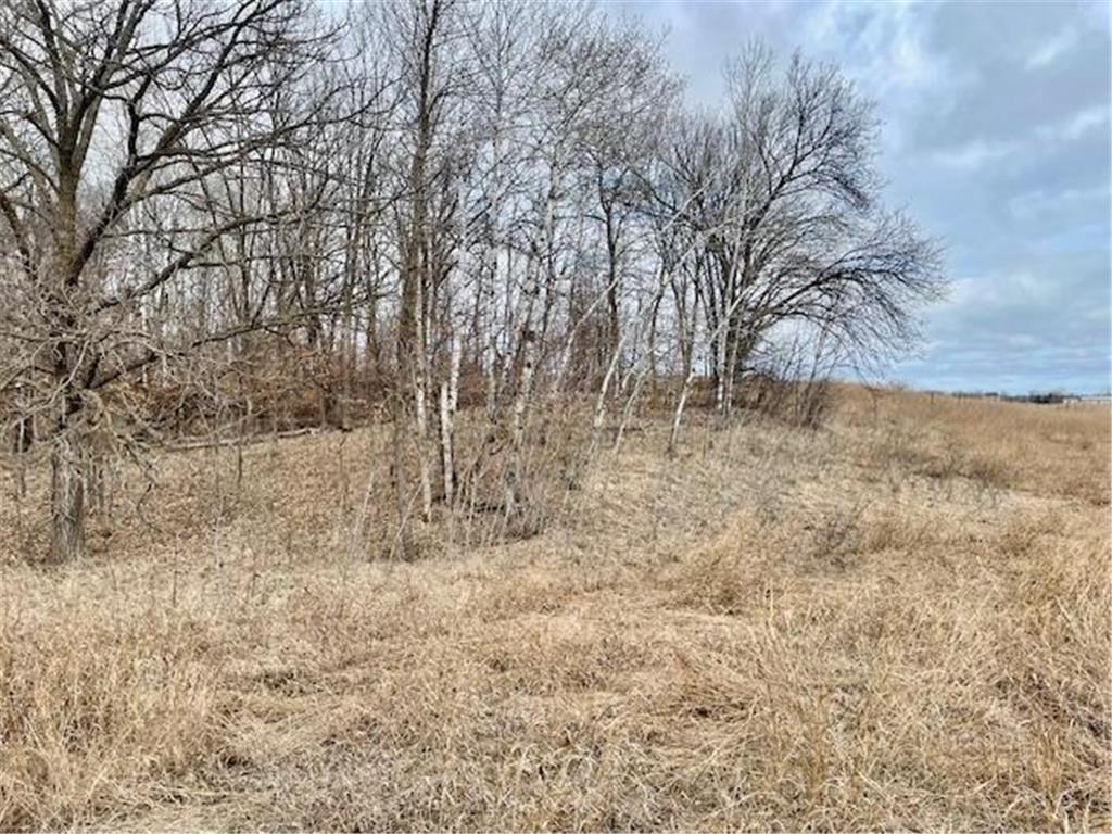 TBD CO HWY 1 Maine Twp MN 56586 7044821 image3