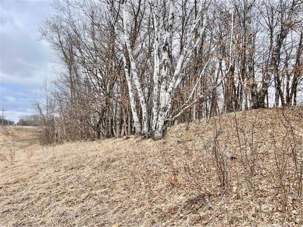 TBD CO HWY 1 Maine Twp MN 56586 7044821 image6