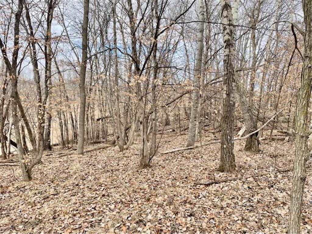TBD CO HWY 1 Maine Twp MN 56586 7044821 image7