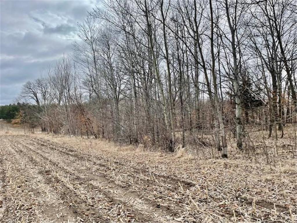 TBD CO HWY 1 Maine Twp MN 56586 7044821 image9
