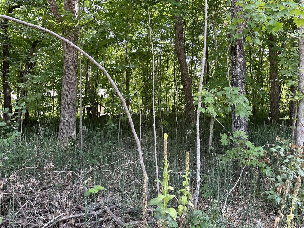 TBD CO HWY 1 Otter Tail Twp MN 56571 - Otter Tail 6535551 image1