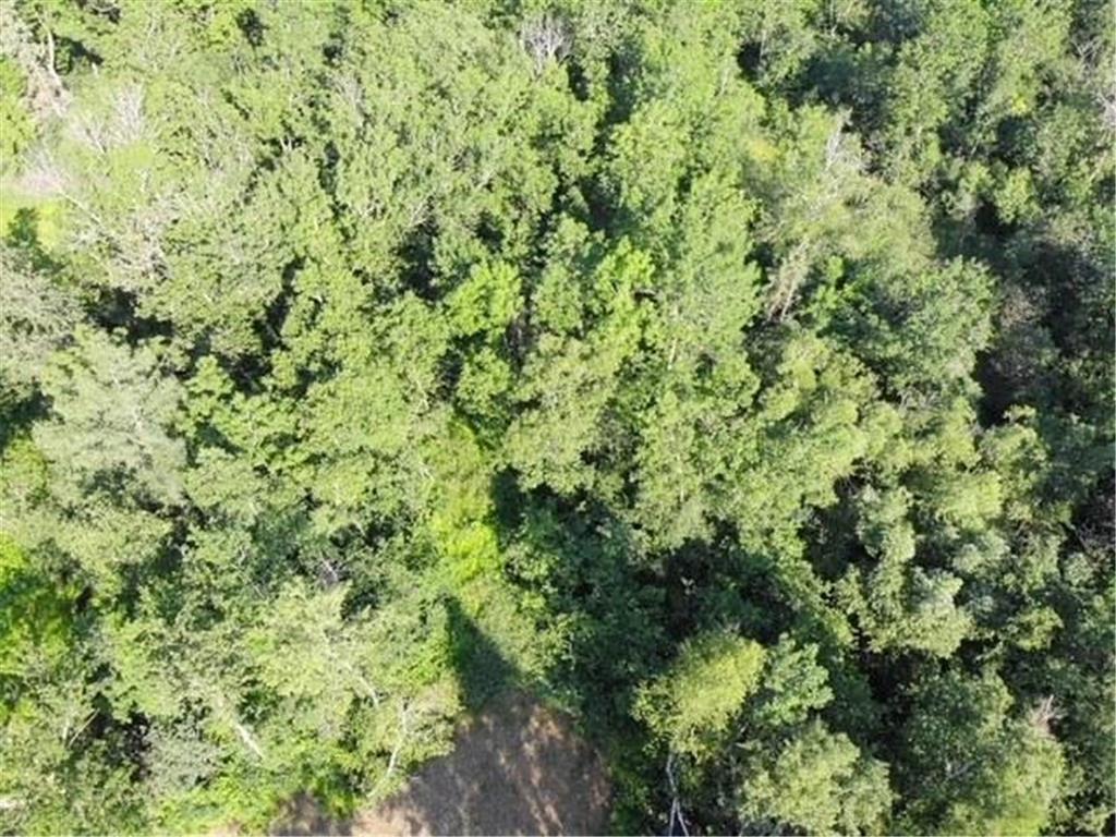 TBD CO HWY 71 Wadena MN 56482 7044225 image3