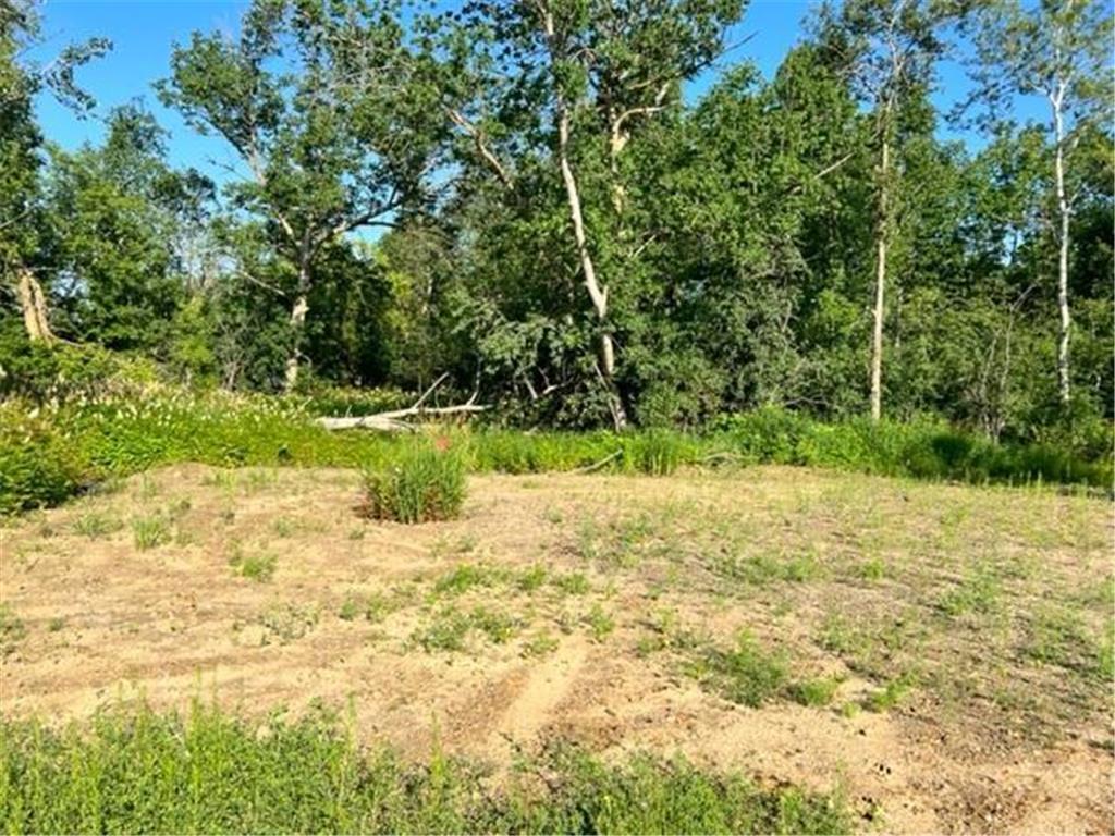 TBD CO HWY 71 Wadena MN 56482 7044225 image8