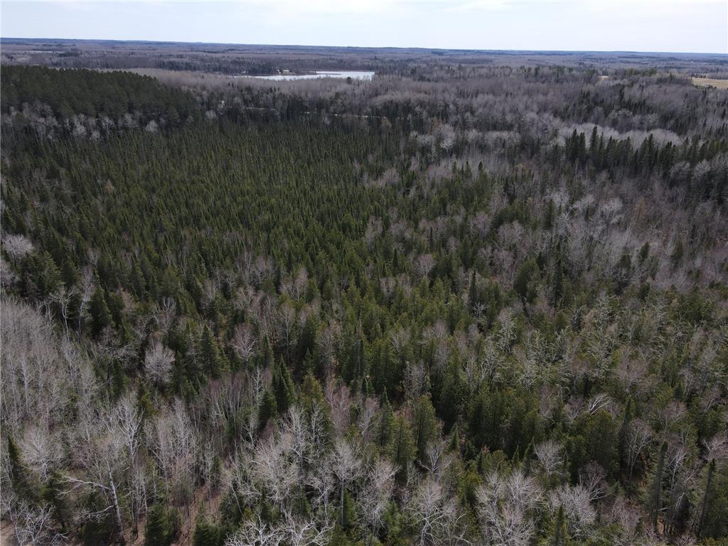 TBD CO Rd 40 Effie MN 56639 7069010 image1