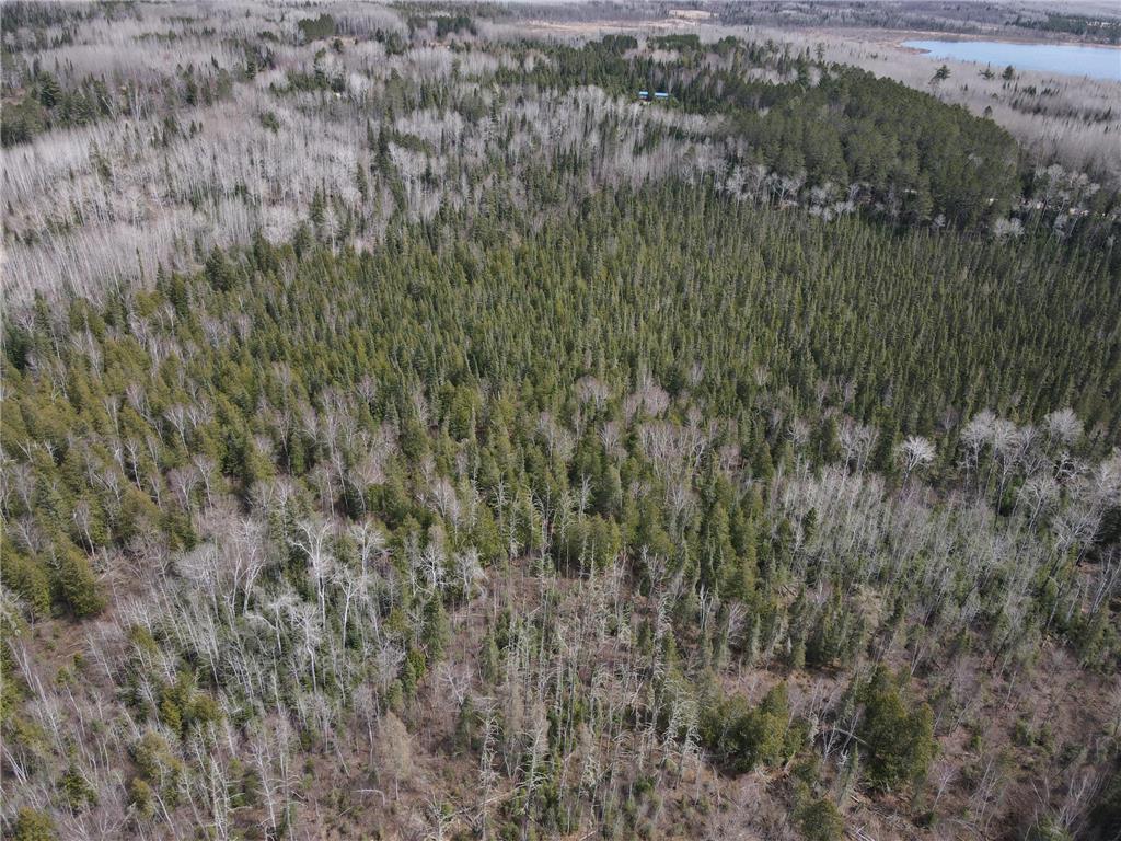 TBD CO Rd 40 Effie MN 56639 7069010 image10