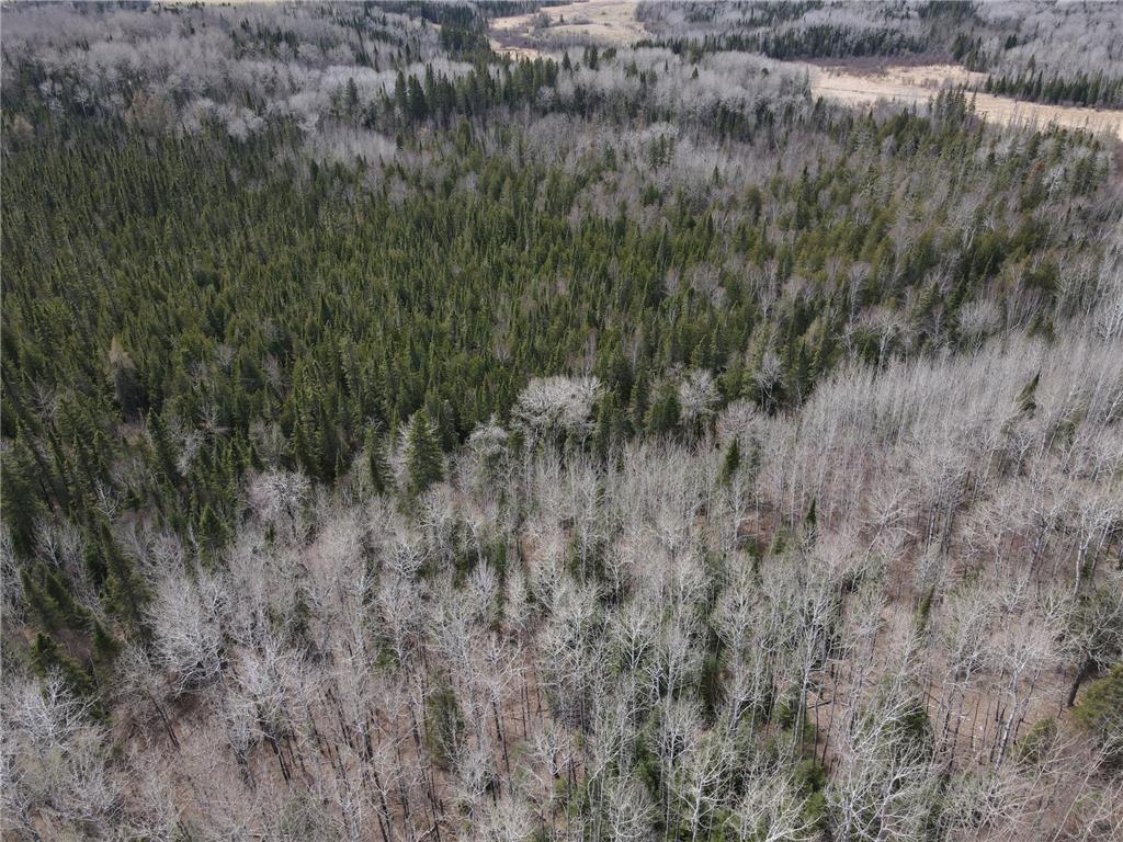 TBD CO Rd 40 Effie MN 56639 7069010 image14
