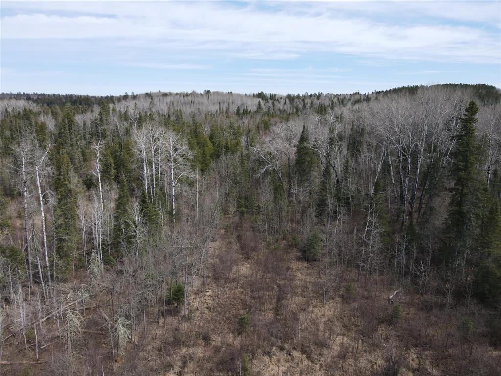 TBD CO Rd 40 Effie MN 56639 7069010 image17