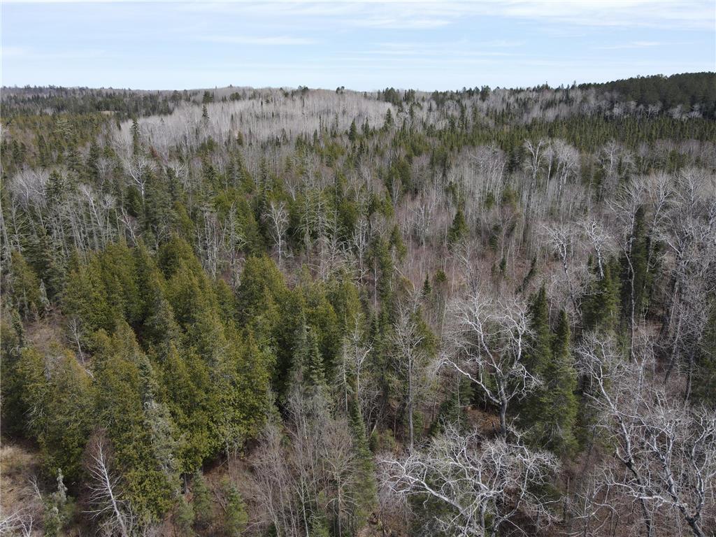 TBD CO Rd 40 Effie MN 56639 7069010 image18