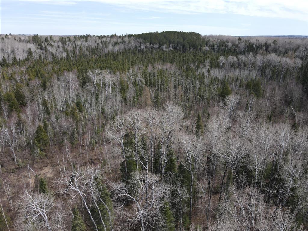TBD CO Rd 40 Effie MN 56639 7069010 image19