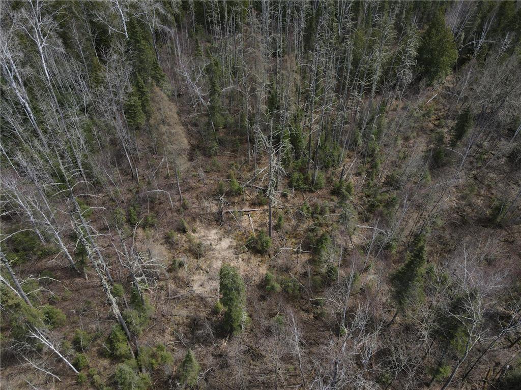 TBD CO Rd 40 Effie MN 56639 7069010 image20
