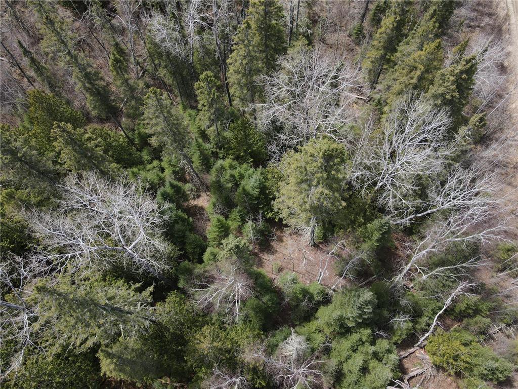 TBD CO Rd 40 Effie MN 56639 7069010 image21