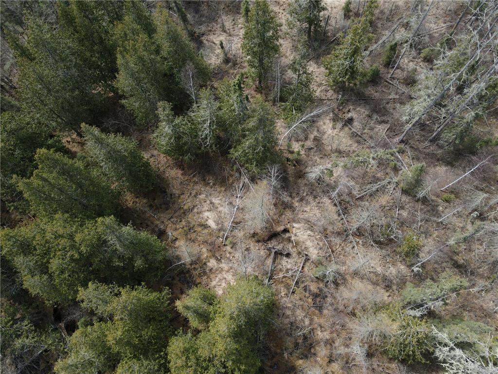TBD CO Rd 40 Effie MN 56639 7069010 image22
