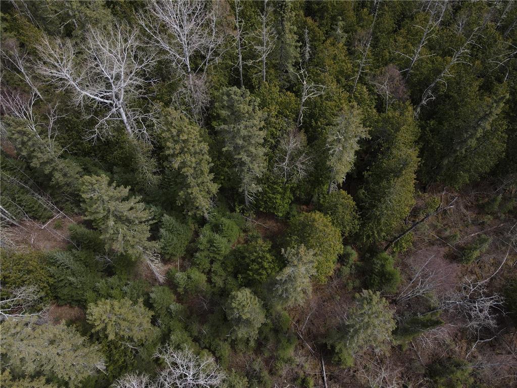 TBD CO Rd 40 Effie MN 56639 7069010 image23