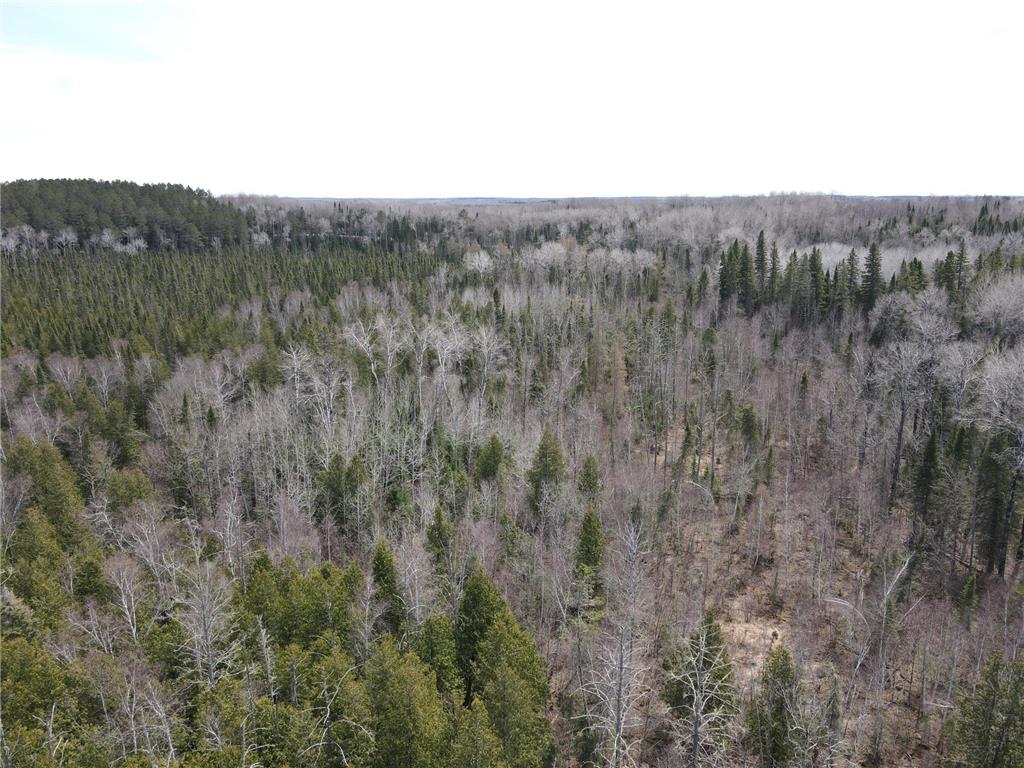 TBD CO Rd 40 Effie MN 56639 7069010 image24