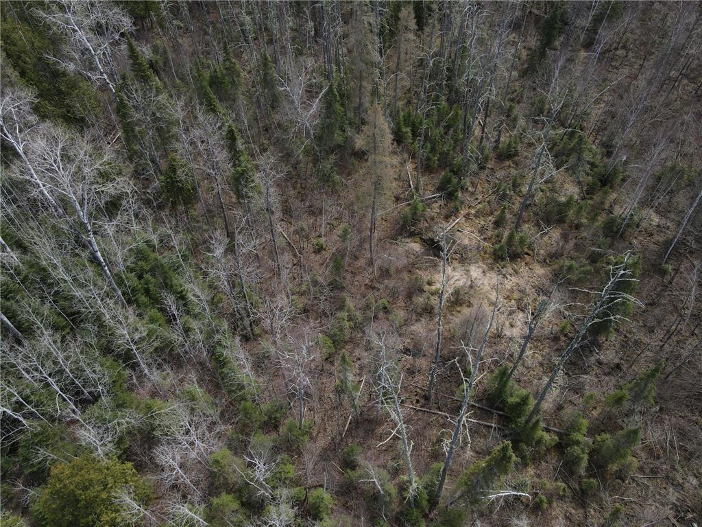TBD CO Rd 40 Effie MN 56639 7069010 image25