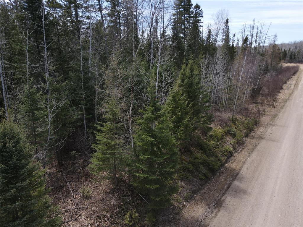 TBD CO Rd 40 Effie MN 56639 7069010 image3