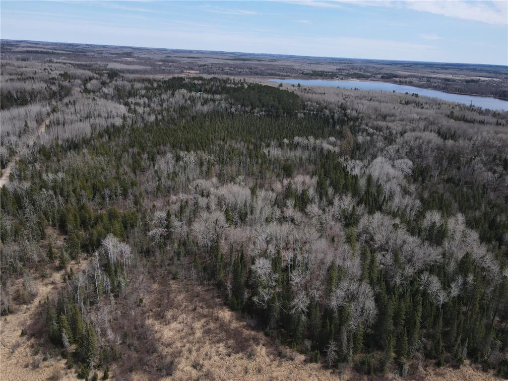 TBD CO Rd 40 Effie MN 56639 7069010 image8
