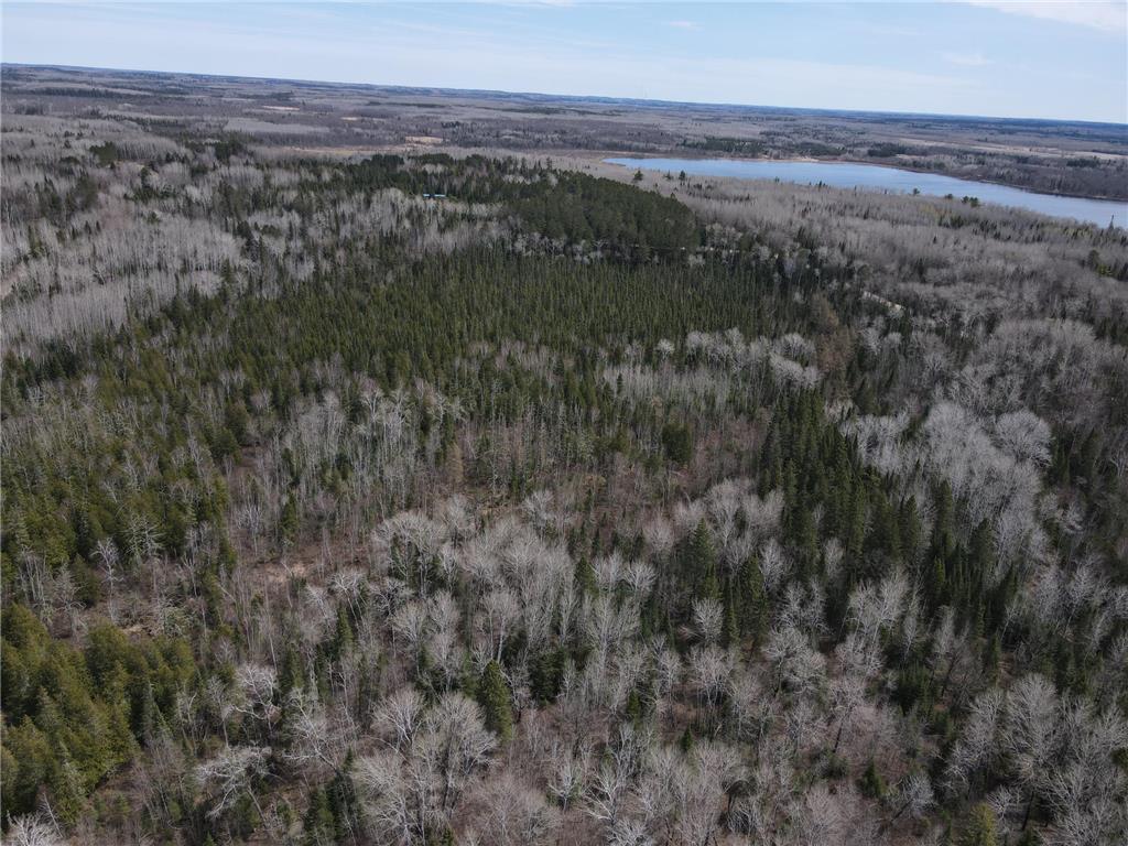 TBD CO Rd 40 Effie MN 56639 7069010 image9