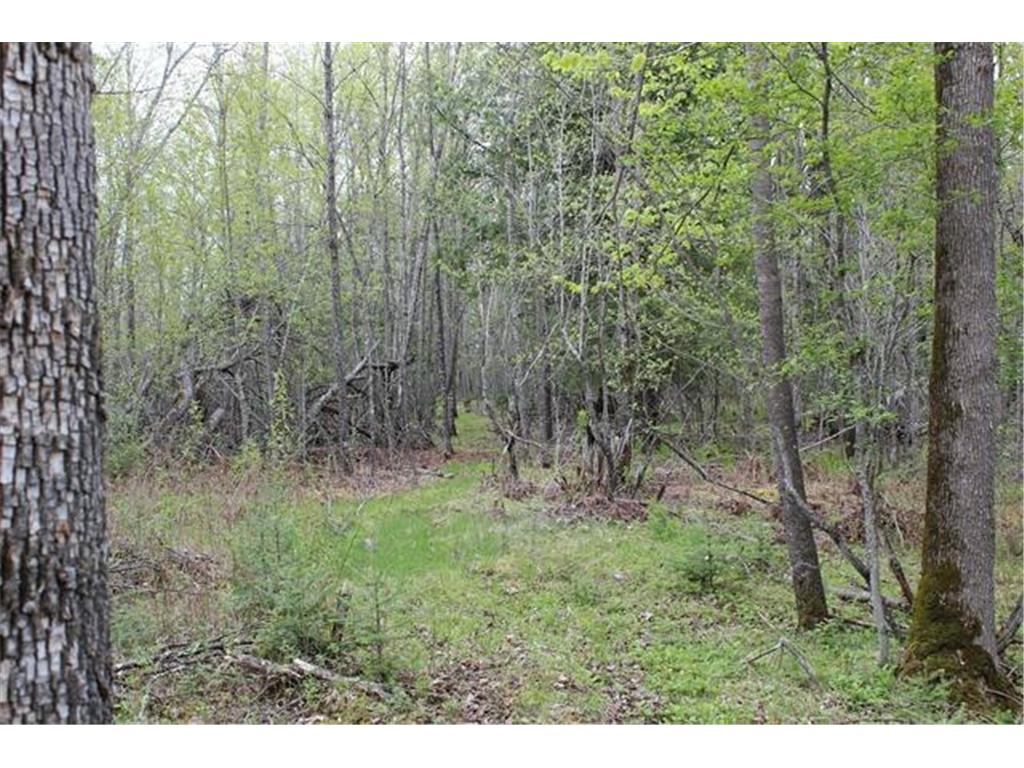 TBD COUNTY RD 19 Deer River MN 56636 - Moose Lake 6648870 image11
