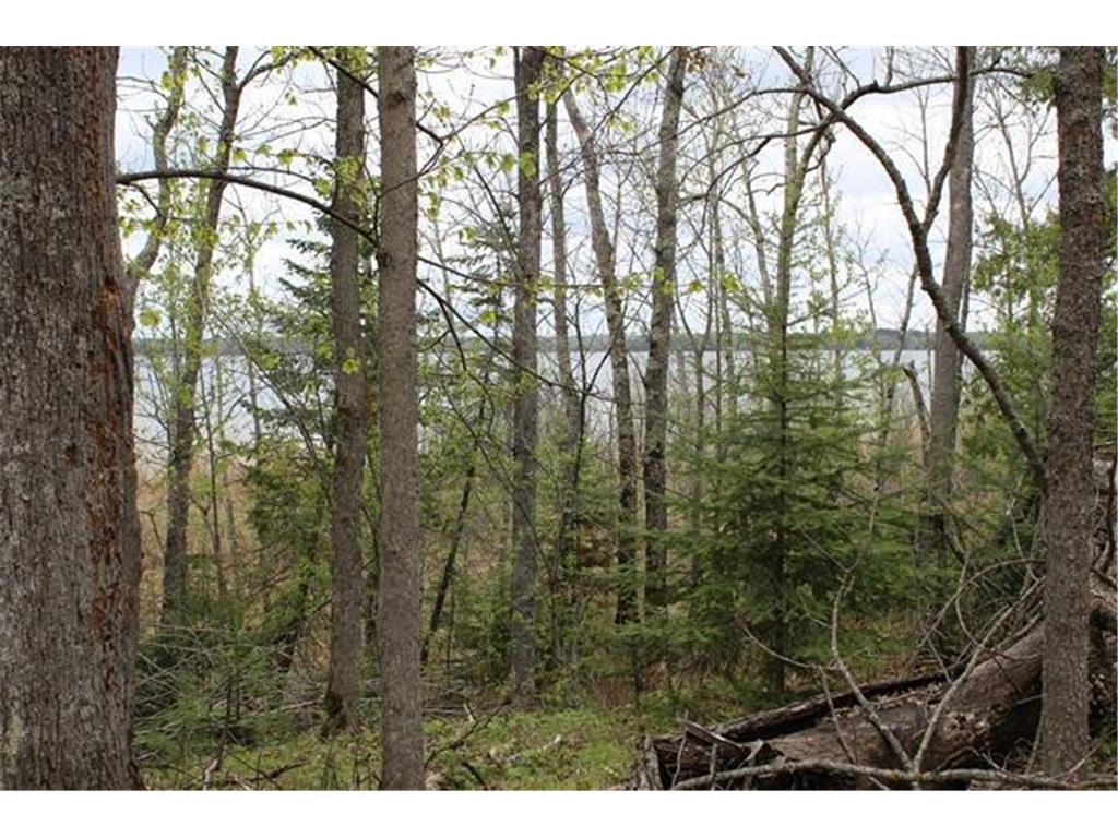 TBD COUNTY RD 19 Deer River MN 56636 - Moose Lake 6648870 image12