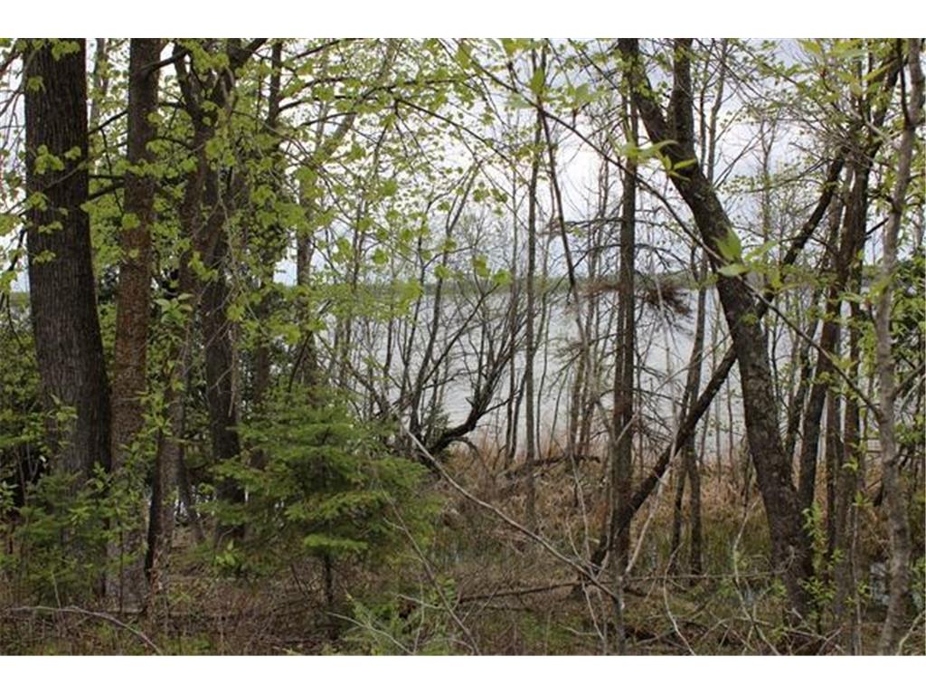 TBD COUNTY RD 19 Deer River MN 56636 - Moose Lake 6648870 image13