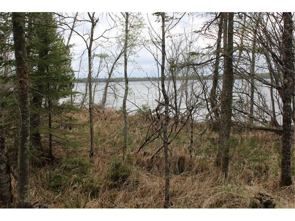 TBD COUNTY RD 19 Deer River MN 56636 - Moose Lake 6648870 image3