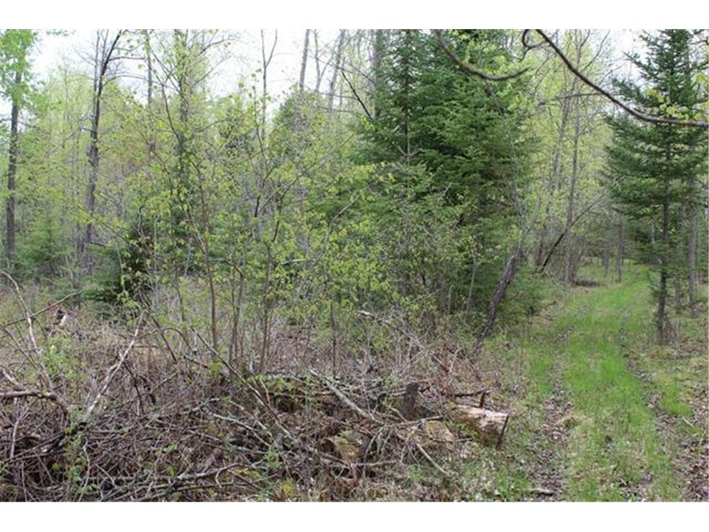TBD COUNTY RD 19 Deer River MN 56636 - Moose Lake 6648870 image5