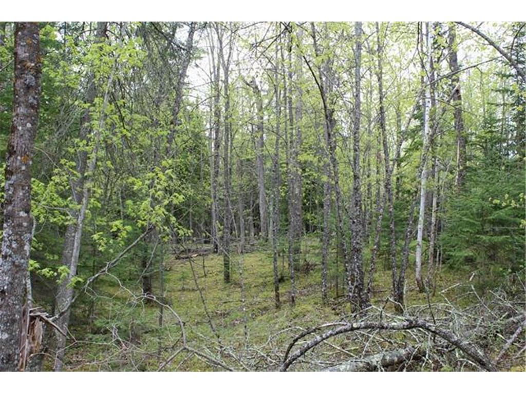 TBD COUNTY RD 19 Deer River MN 56636 - Moose Lake 6648870 image7