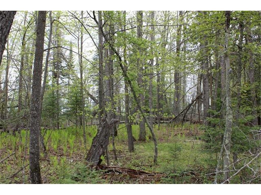 TBD COUNTY RD 19 Deer River MN 56636 - Moose Lake 7008546 image10