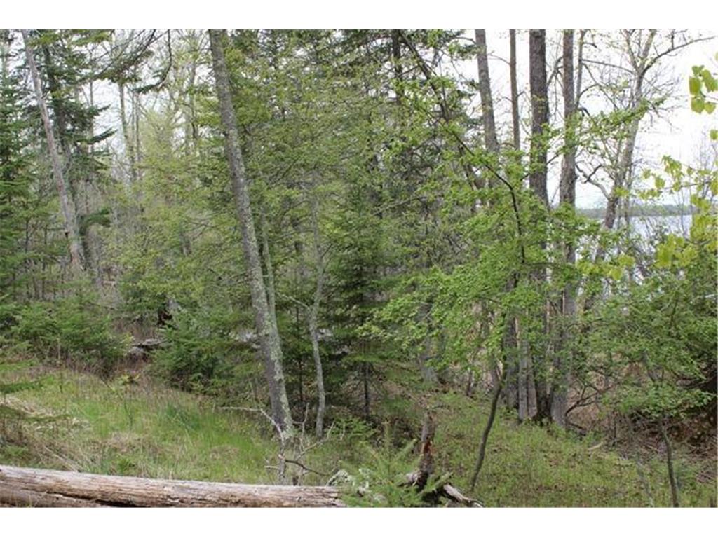 TBD COUNTY RD 19 Deer River MN 56636 - Moose Lake 7008546 image14