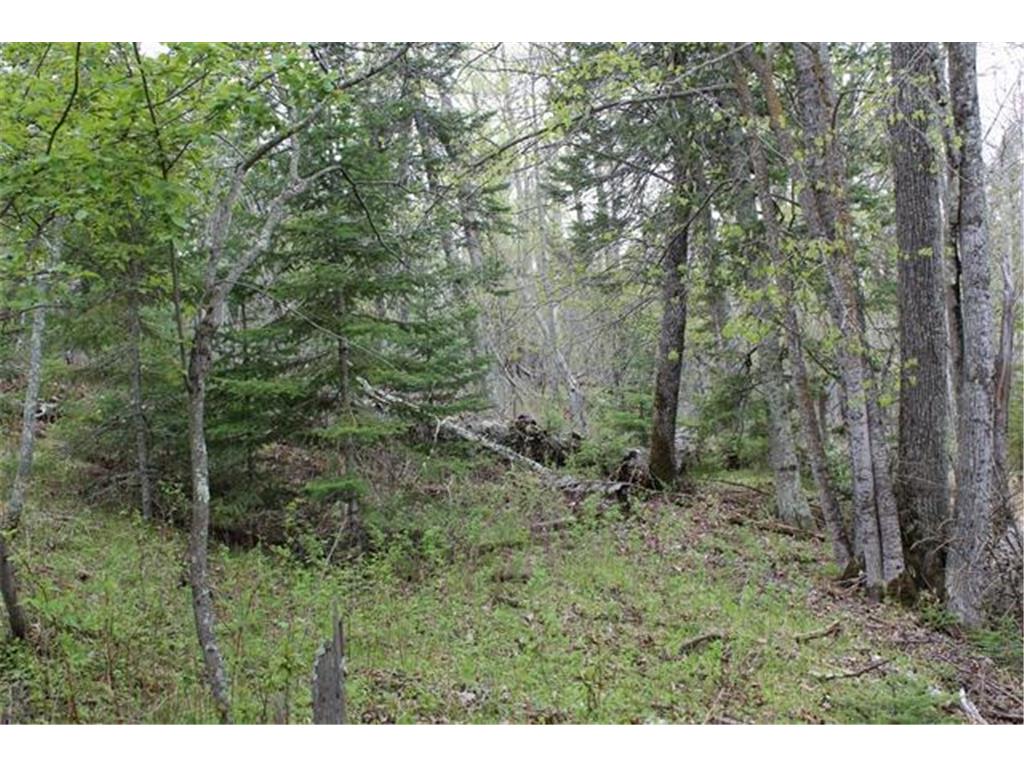 TBD COUNTY RD 19 Deer River MN 56636 - Moose Lake 7008546 image15
