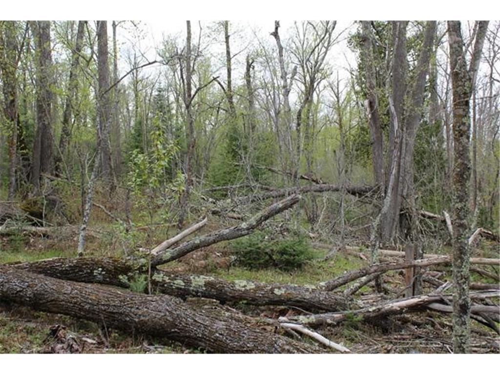 TBD COUNTY RD 19 Deer River MN 56636 - Moose Lake 7008546 image17