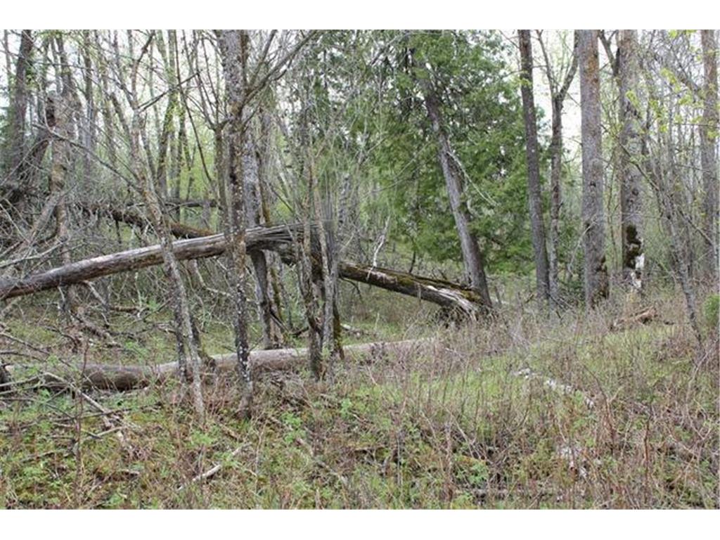 TBD COUNTY RD 19 Deer River MN 56636 - Moose Lake 7008546 image18