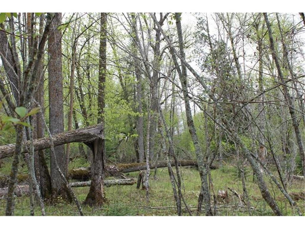 TBD COUNTY RD 19 Deer River MN 56636 - Moose Lake 7008546 image19