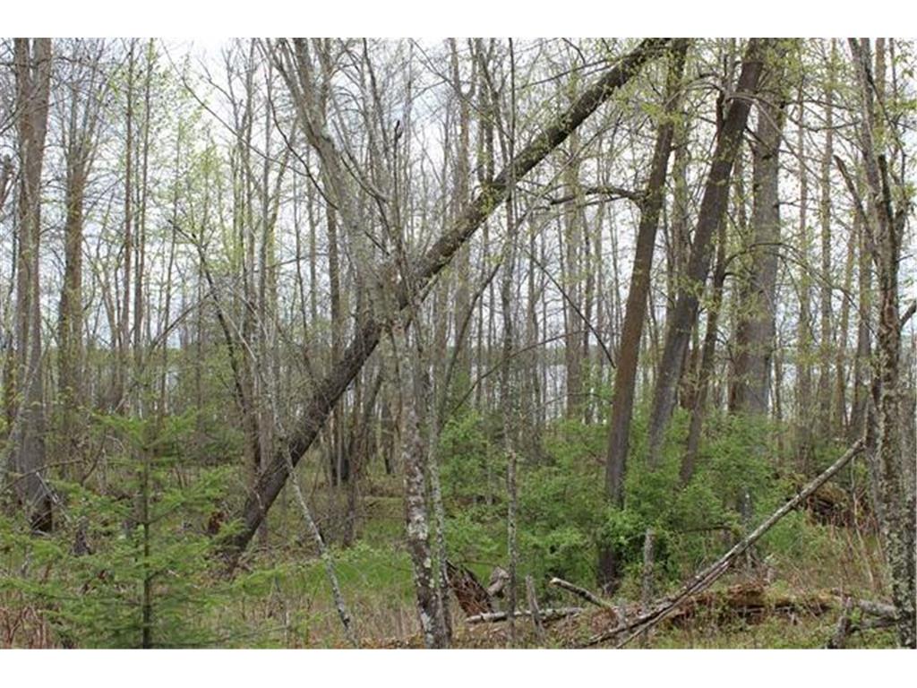 TBD COUNTY RD 19 Deer River MN 56636 - Moose Lake 7008546 image20