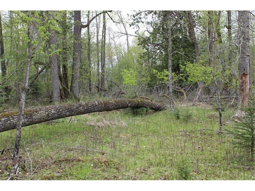 TBD COUNTY RD 19 Deer River MN 56636 - Moose Lake 7008546 image21