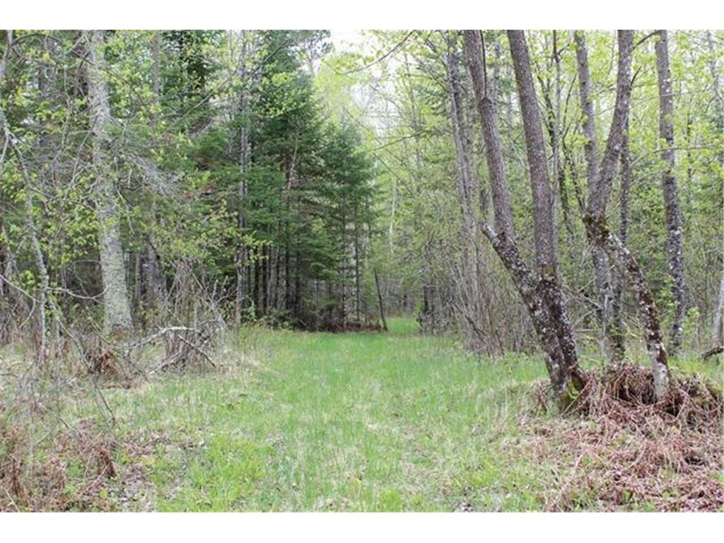 TBD COUNTY RD 19 Deer River MN 56636 - Moose Lake 7008546 image4