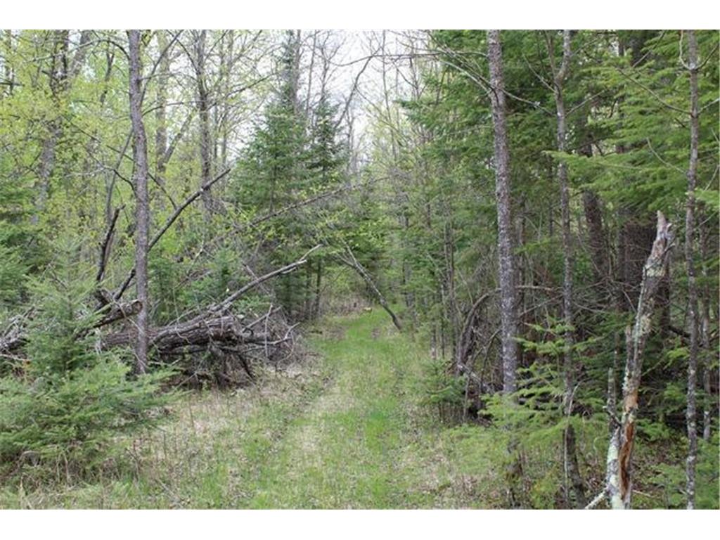 TBD COUNTY RD 19 Deer River MN 56636 - Moose Lake 7008546 image6