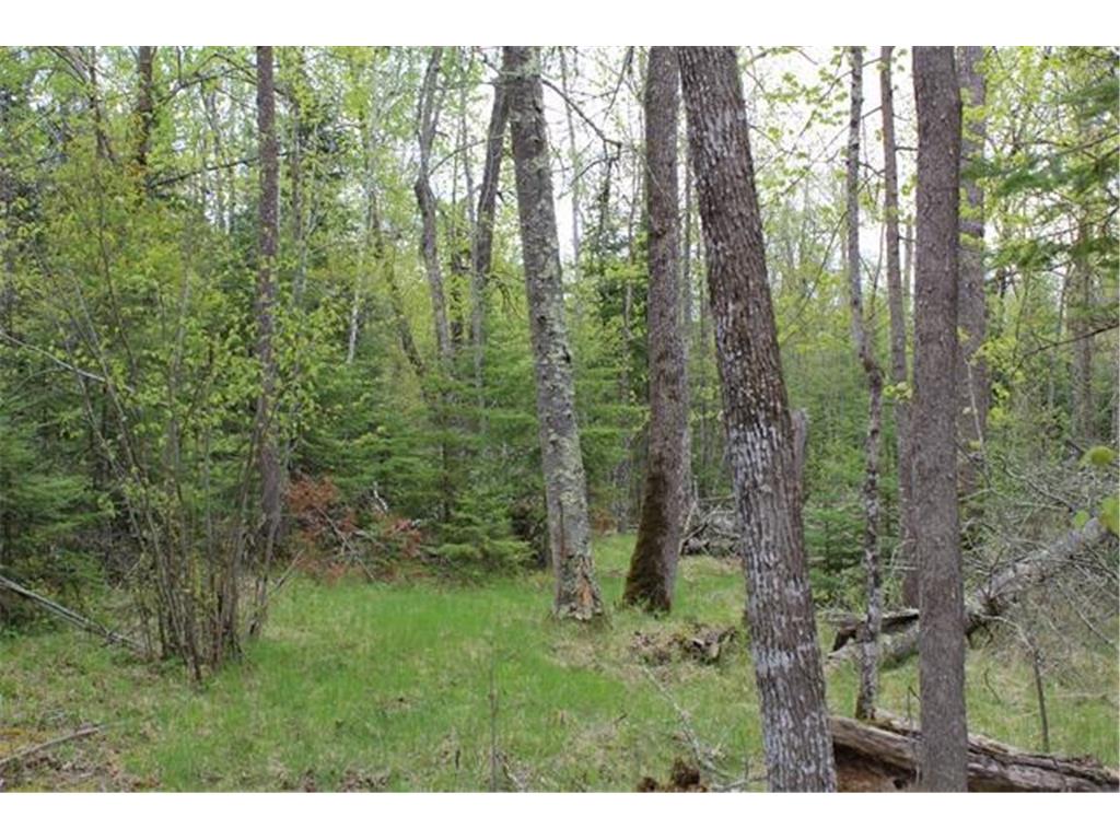 TBD COUNTY RD 19 Deer River MN 56636 - Moose Lake 7008546 image8