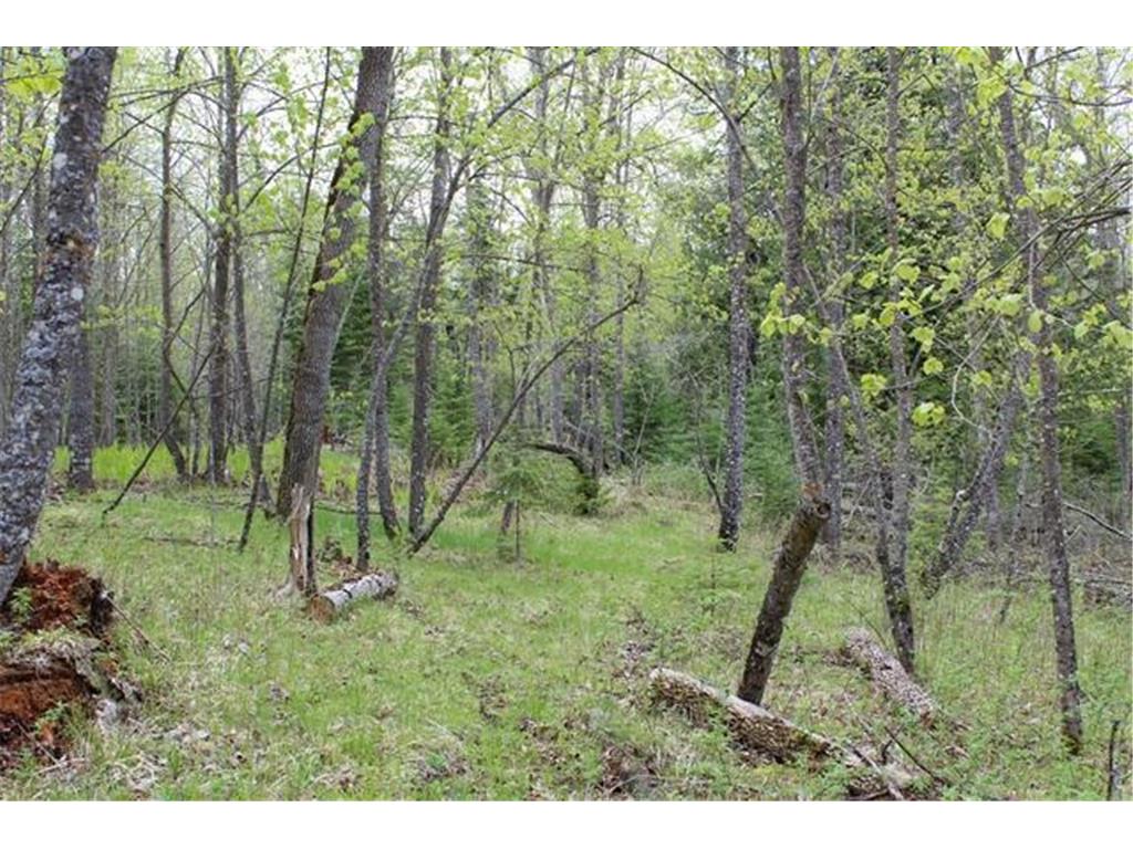 TBD COUNTY RD 19 Deer River MN 56636 - Moose Lake 7008546 image9