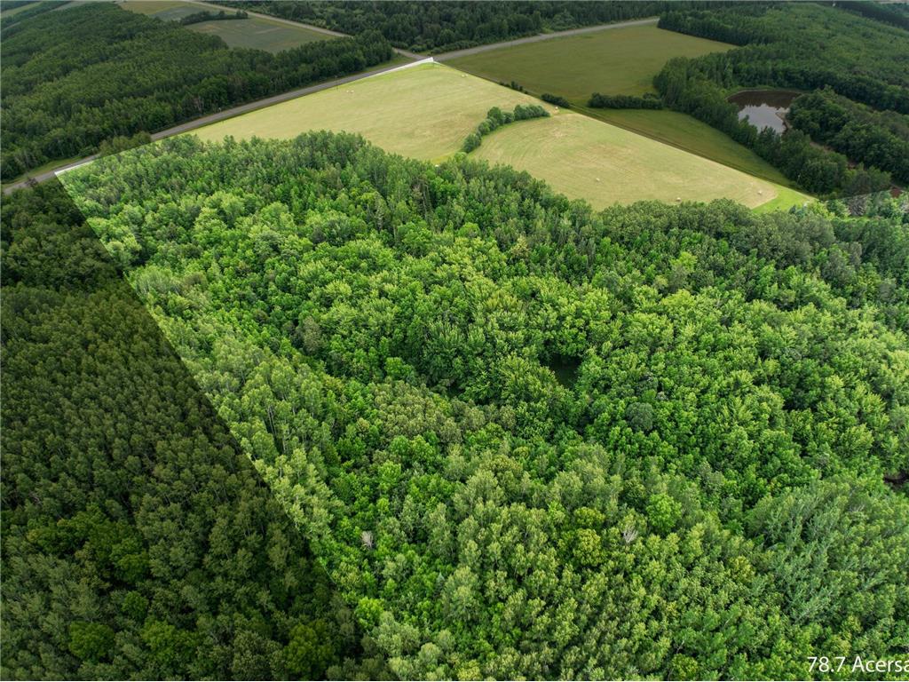 TBD COUNTY RD 79 Littlefork MN 56653 - Little Fork River 7106372 image2
