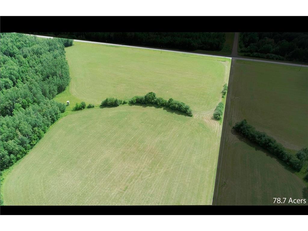 TBD COUNTY RD 79 Littlefork MN 56653 - Little Fork River 7106372 image6
