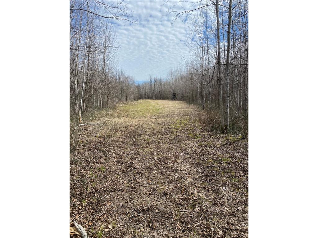 TBD COUNTY ROAD 79 Big Falls MN 56649 - Little Fork River 7106234 image1