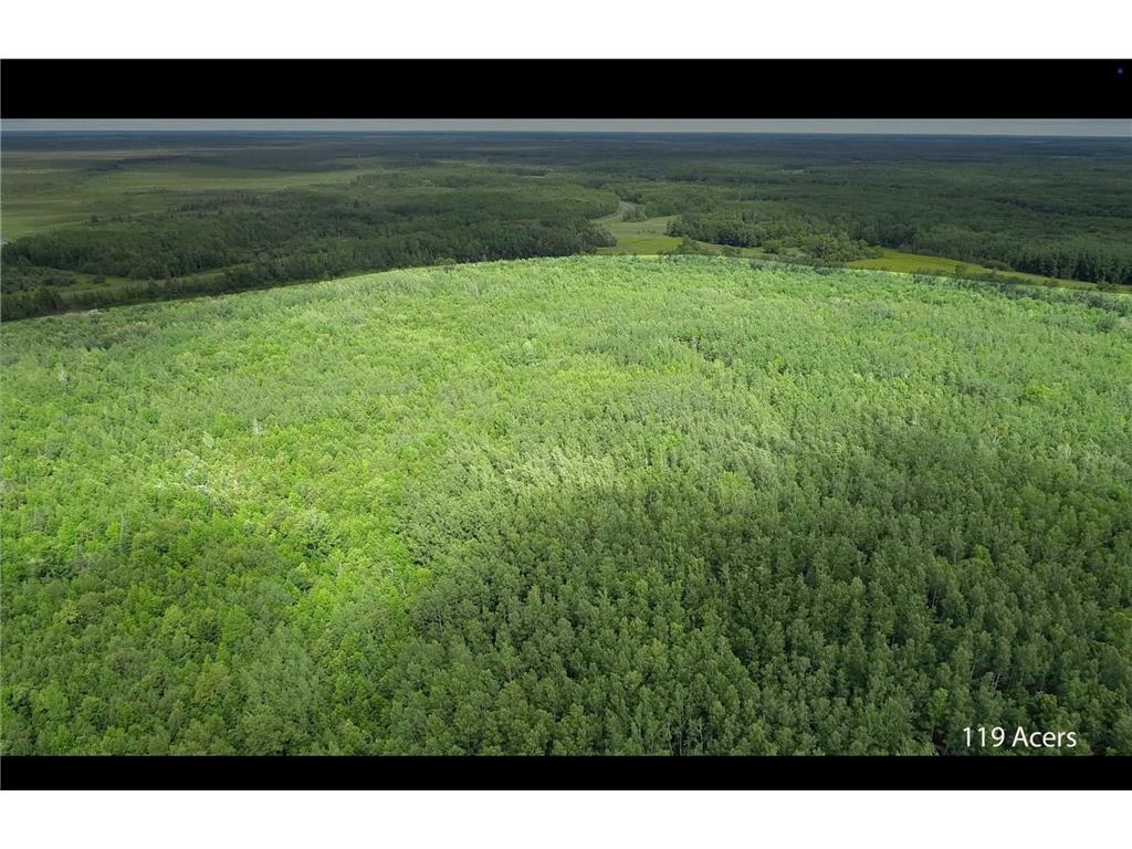 TBD COUNTY ROAD 79 Big Falls MN 56649 - Little Fork River 7106234 image15