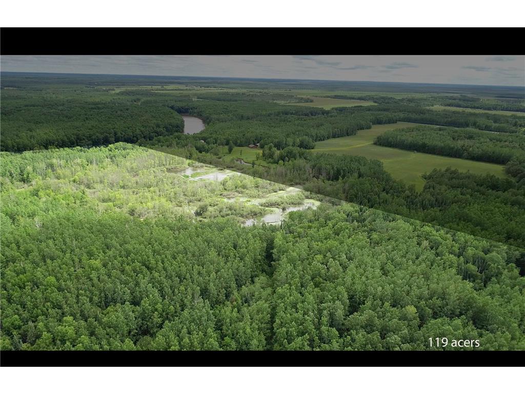 TBD COUNTY ROAD 79 Big Falls MN 56649 - Little Fork River 7106234 image16