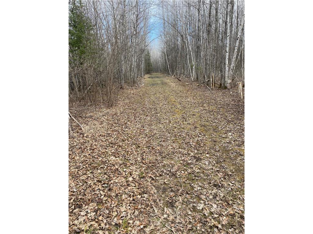 TBD COUNTY ROAD 79 Big Falls MN 56649 - Little Fork River 7106234 image3