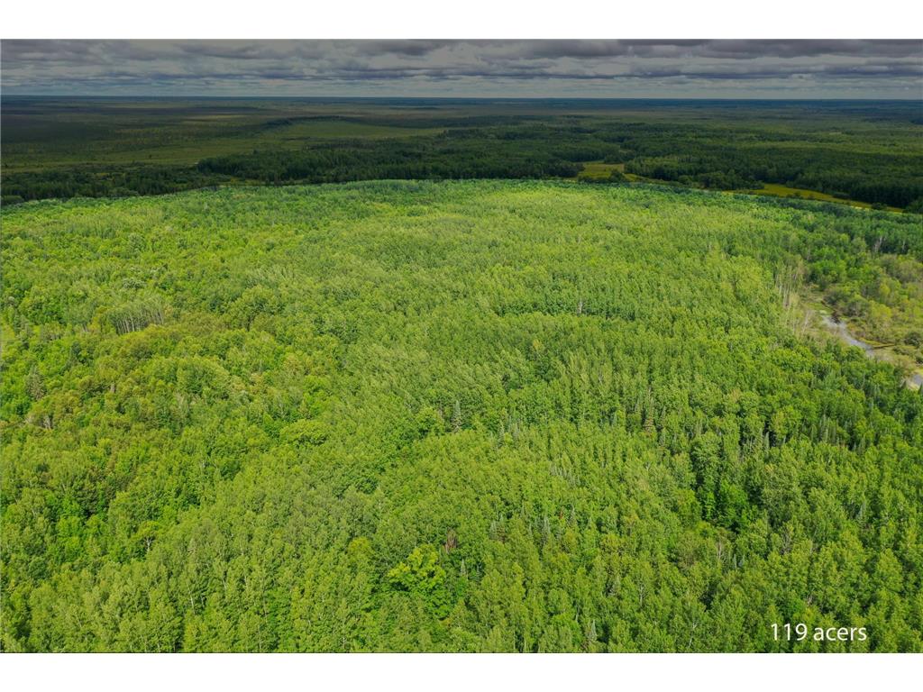 TBD COUNTY ROAD 79 Big Falls MN 56649 - Little Fork River 7106234 image9