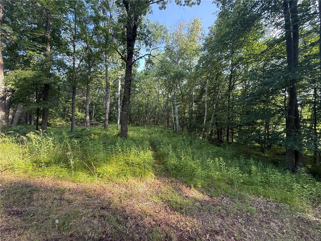 TBD CR-109 Mission Twp MN 56465 - Upper Mission 6759953 image5