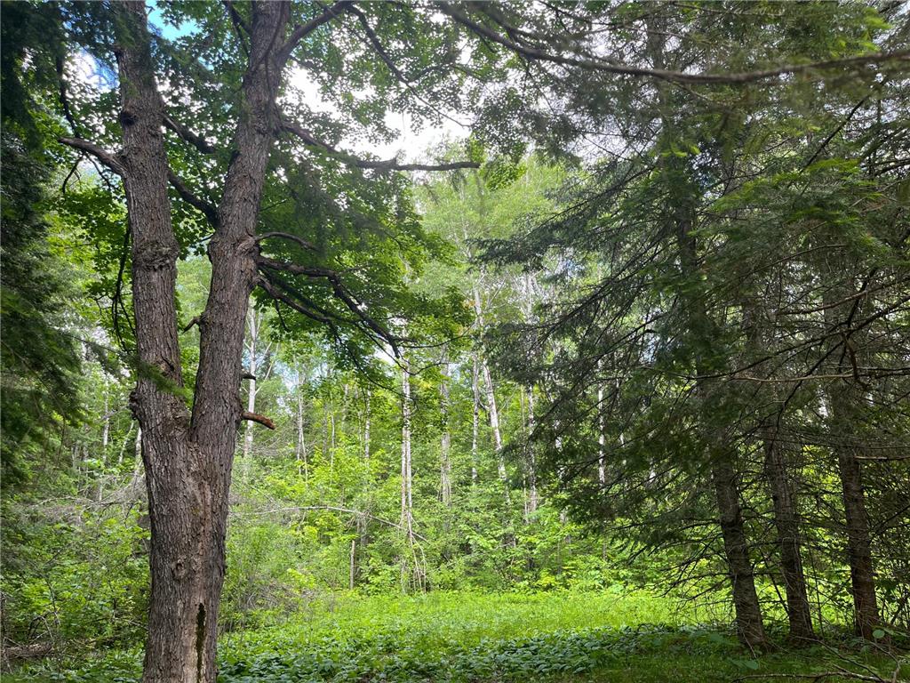 TBD CR 159 Northome MN 56661 6607633 image1